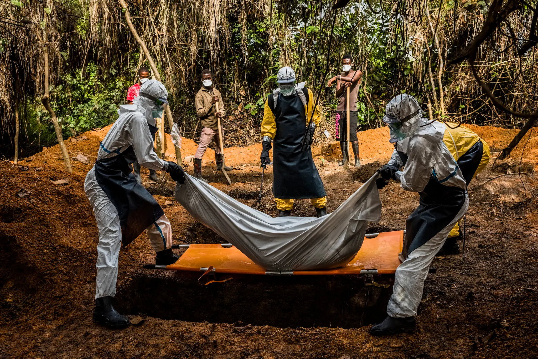 OMS declara emergencia internacional de salud por brote de ébola en República Democrática del Congo