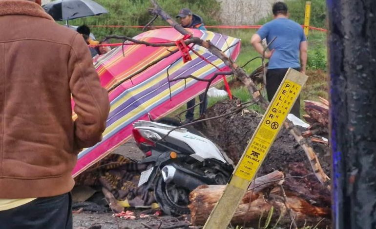 Accidente en San Martín Texmelucan: rama de árbol cae sobre motocicleta y muere menor de edad