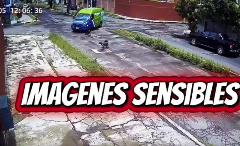 Repartidor de agua Junghanns atropella a un perro en Puebla; activistas exigen respuesta