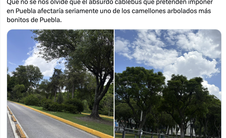 El Cablebús de Puebla no contempla la tala masiva del camellón del Bulevar 5 de Mayo, confirma el gobierno estatal