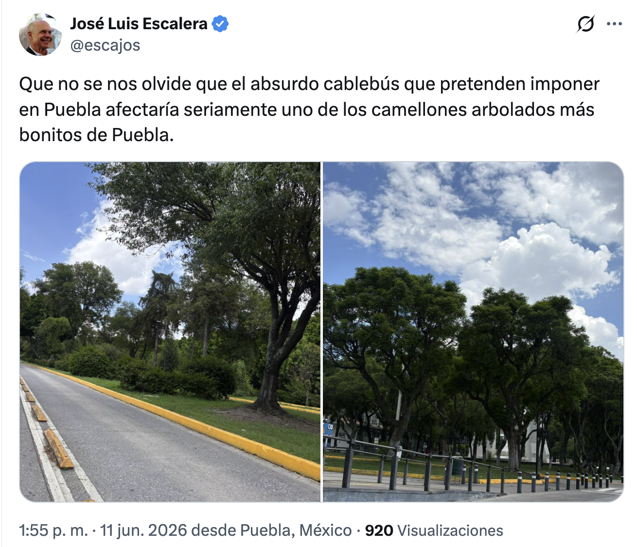 El Cablebús de Puebla no contempla la tala masiva del camellón del Bulevar 5 de Mayo, confirma el gobierno estatal