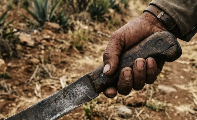 Ataque con machetes en San Jerónimo Caleras deja cinco personas lesionadas