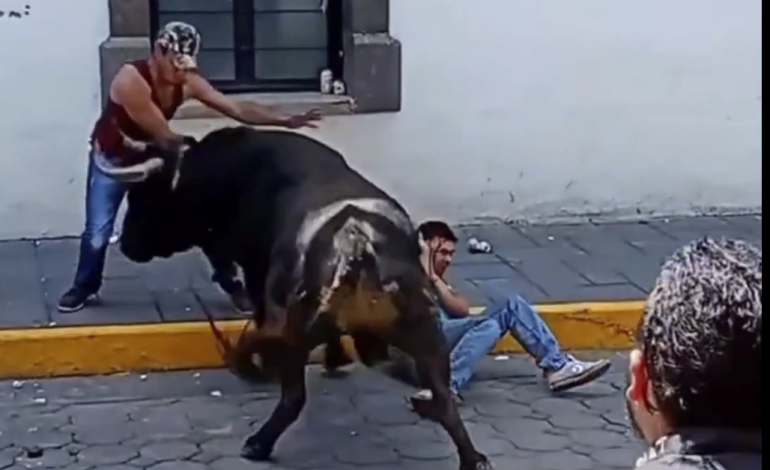 Dos albañiles resultan heridos en capea callejera durante Festival Pamplona en Amaxac, Tlaxcala