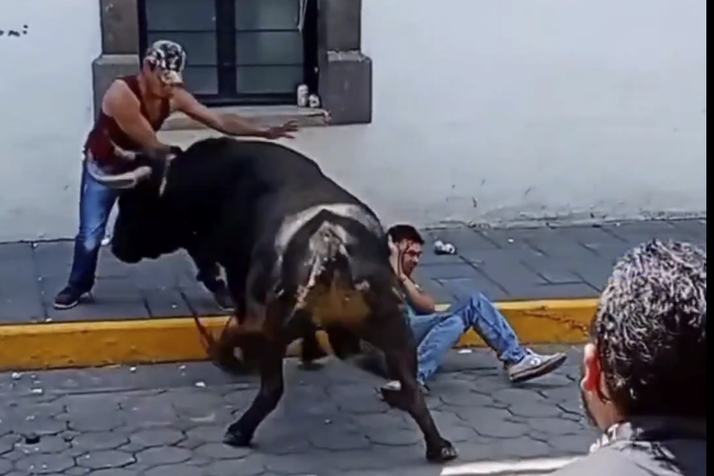 Dos albañiles resultan heridos en capea callejera durante Festival Pamplona en Amaxac, Tlaxcala