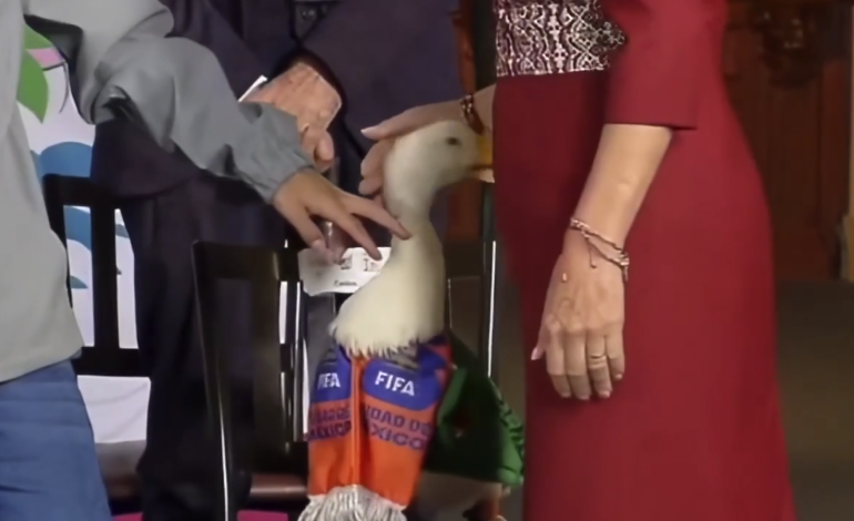 Video del Pato Merlín atacando a la presidenta Sheinbaum se vuelve viral en redes sociales