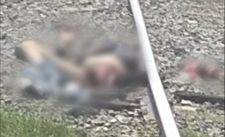 Tragedia en Bosques de Amalucan: persona muere arrollada por tren en Puebla