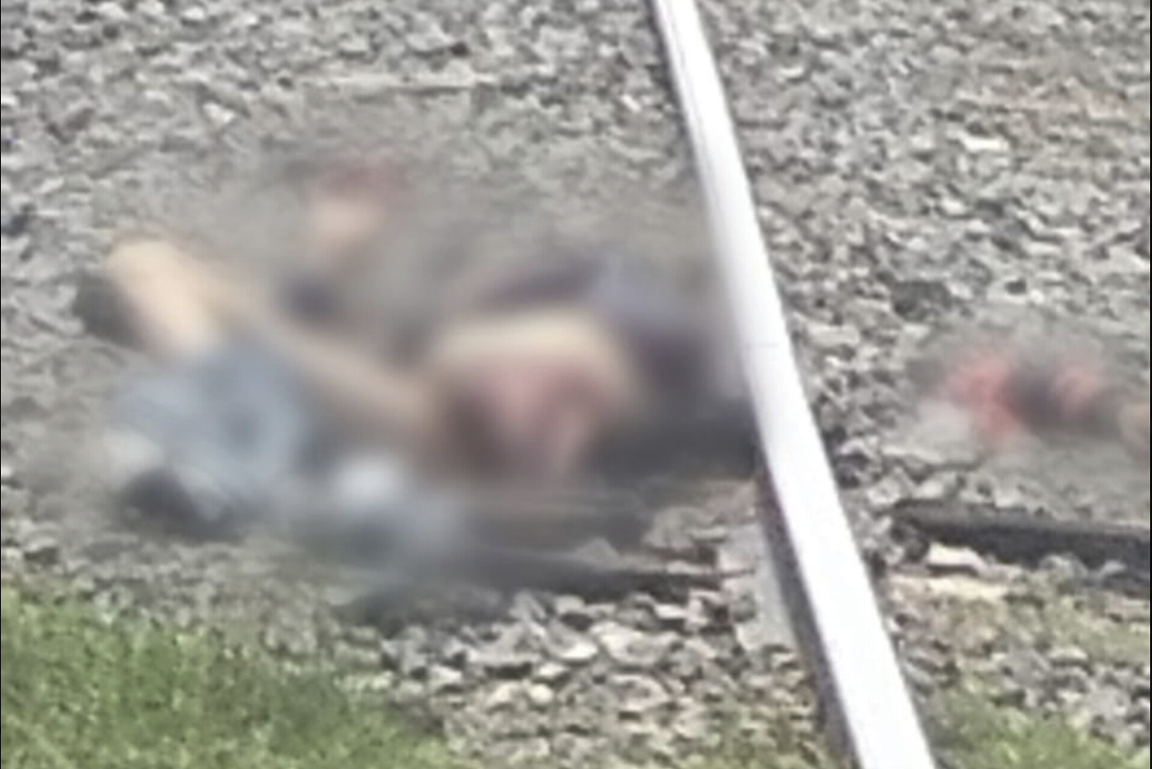 Tragedia en Bosques de Amalucan: persona muere arrollada por tren en Puebla