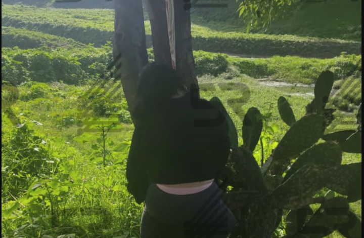 Hallan a una persona sin vida bajo el Puente Negro; investigan posible suicidio