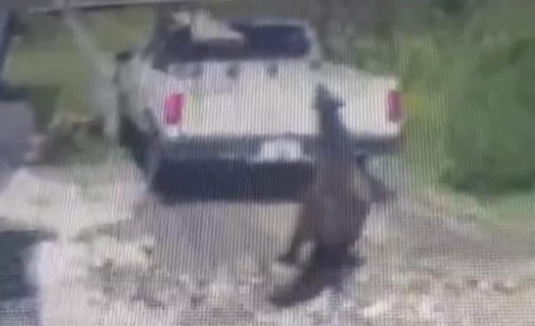 Sujeto arrastra a caballo con camioneta en Texmelucan; video genera indignación