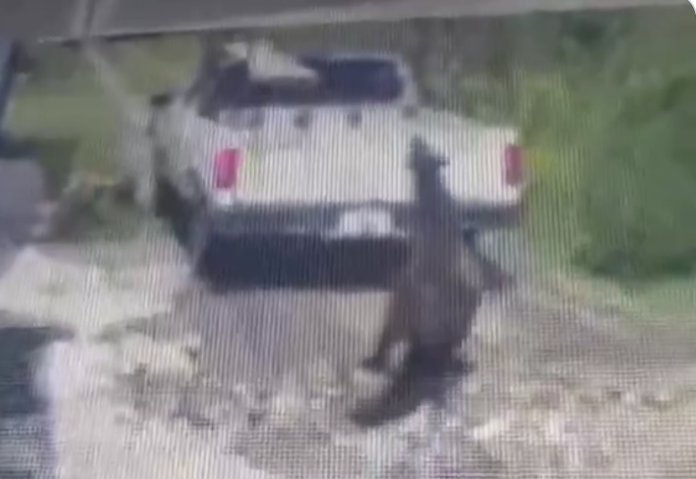 Sujeto arrastra a caballo con camioneta en Texmelucan; video genera indignación