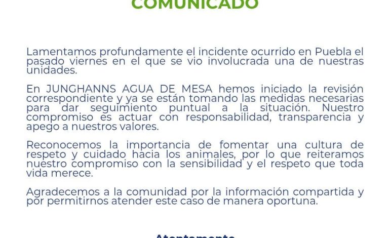 Junghanns reconoce atropello de perro en Puebla pero no aclara sanciones al conductor