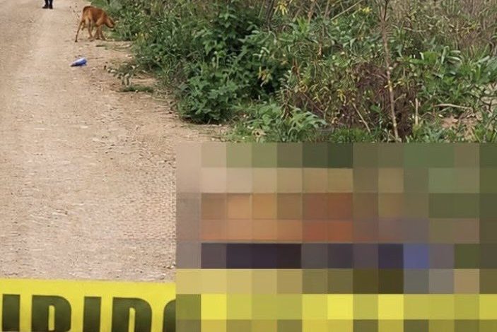 Presunto enfrentamiento y aseguramiento de narcolaboratorio en la Sierra Norte de Puebla