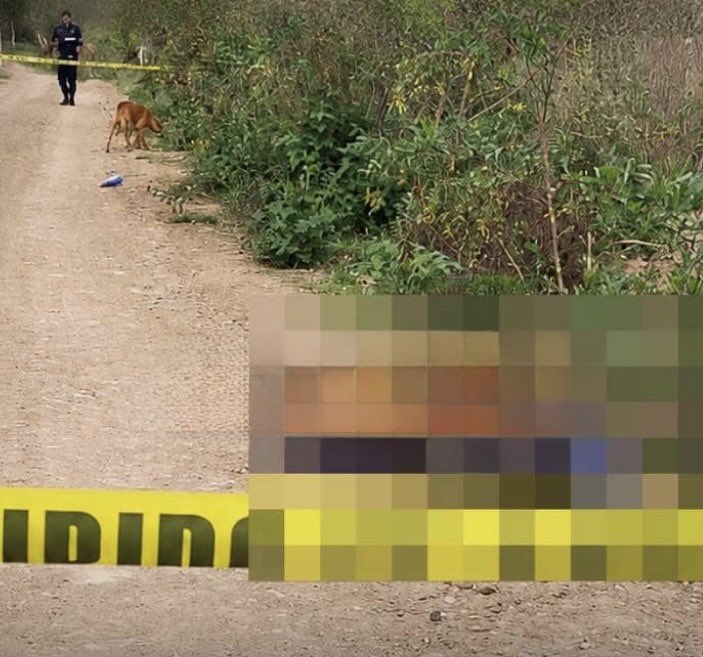 Presunto enfrentamiento y aseguramiento de narcolaboratorio en la Sierra Norte de Puebla