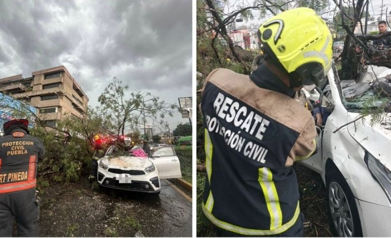 Identifican a mujer que murió aplastada por un árbol durante tormenta en Puebla