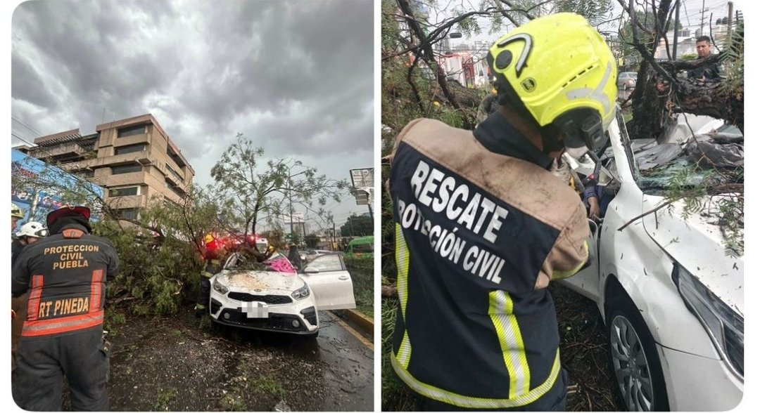 Identifican a mujer que murió aplastada por un árbol durante tormenta en Puebla
