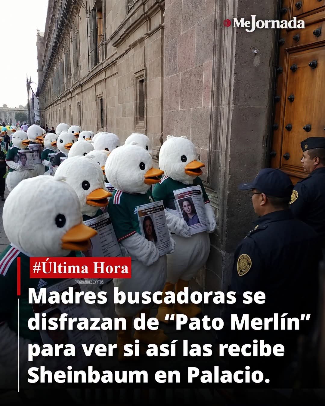FALSO: Madres buscadoras no se disfrazaron del “Pato Merlín” para ser recibidas en Palacio Nacional