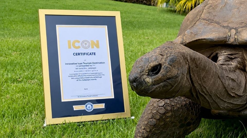 Jonathan, la tortuga terrestre más longeva del mundo, cumple 194 años según Guinness World Records