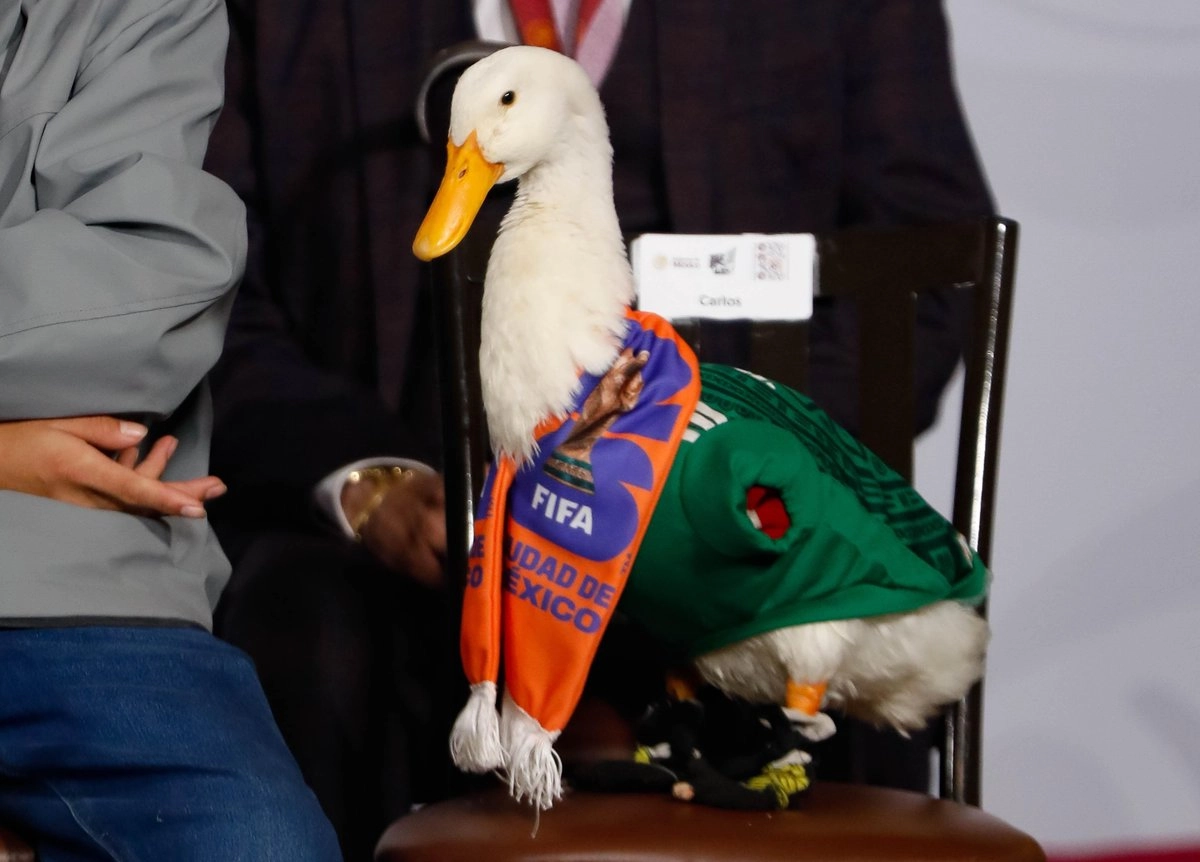 La marca del pato Merlín, símbolo espontáneo del Mundial 2026, pertenece a la familia Gómez: IMPI