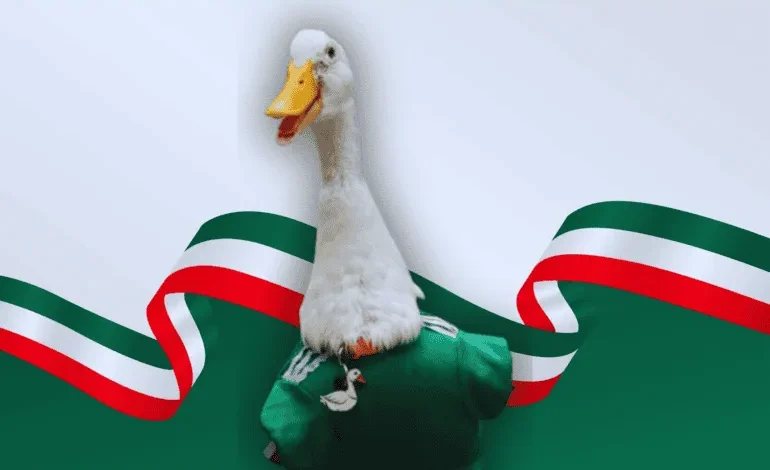 FIFA nombra a Merlín, el pato viral, embajador oficial de la Ciudad de México en el Mundial 2026