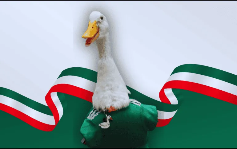 FIFA nombra a Merlín, el pato viral, embajador oficial de la Ciudad de México en el Mundial 2026