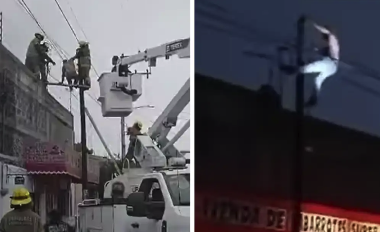 Presunto ladrón queda colgado más de seis horas en poste de luz en Chimalhuacán