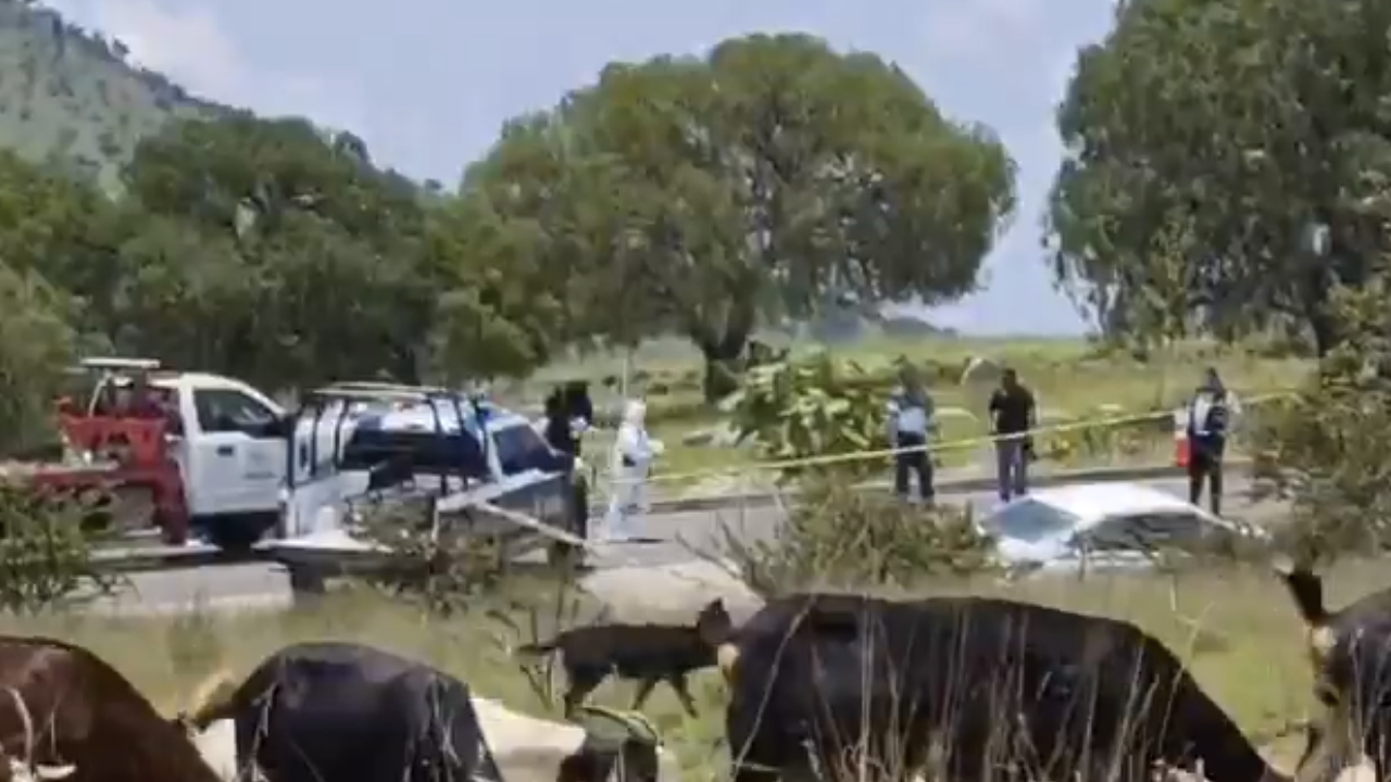 Hallan vehículo con personas sin vida rumbo a la Academia de Policía en Puebla; Fiscalía investiga
