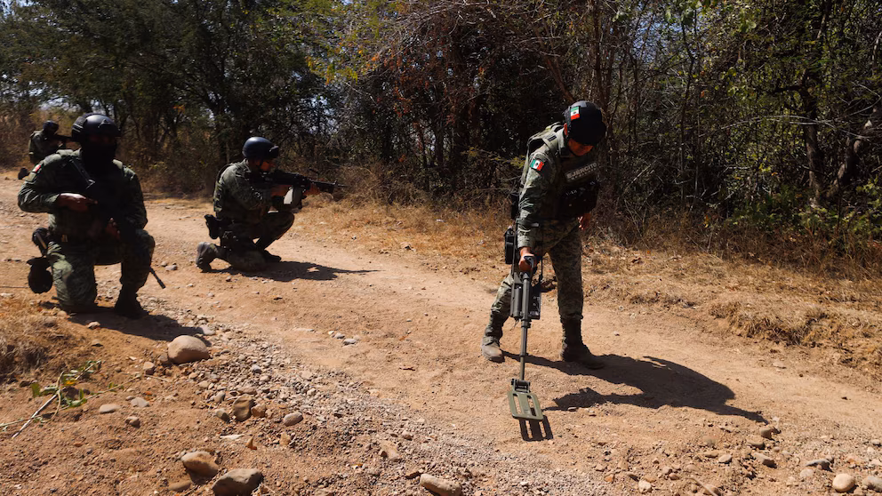 Carteles colocan minas explosivas en Michoacán, confirma Defensa Nacional