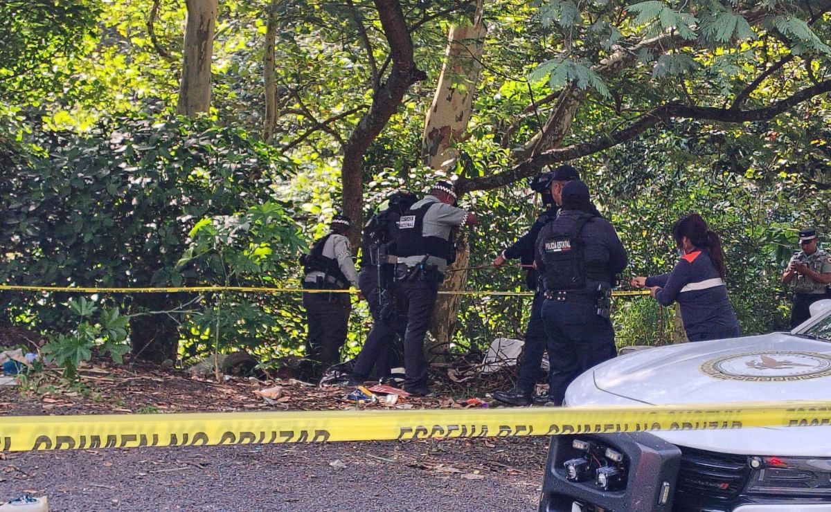 Cinco cuerpos son hallados en la autopista Orizaba-Puebla; autoridades investigan