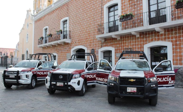 Envenenan a seis perros en Atlixco; Fiscalía investiga el caso